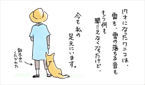 ずっと足元にいるワンちゃん