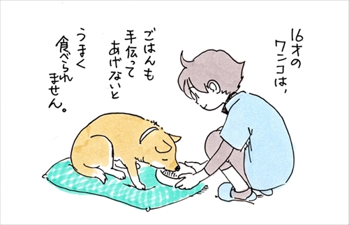 ずっと足元にいるワンちゃん