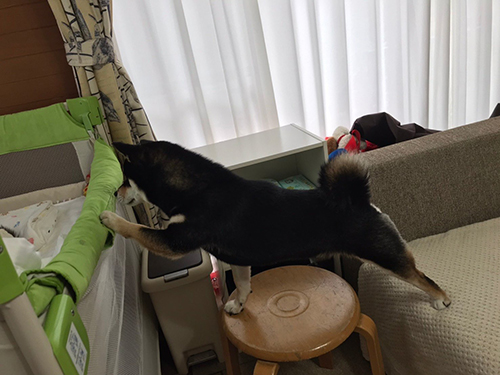 のびるおはぎくん