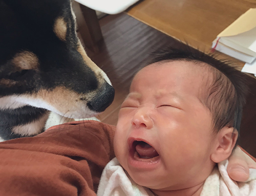 泣く妹ちゃんとおはぎくんアップ