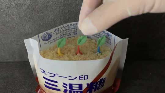 アイシングクッキー ピクミン チャッピー