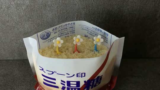 アイシングクッキー ピクミン チャッピー