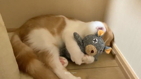 クマさんがお気に入りのホルンくん
