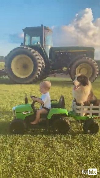 「Boy and His Dog Ride Around in Toy Tractor || ViralHog」