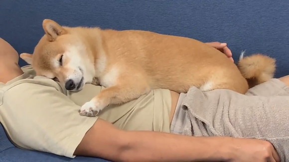 ねんねからのお目覚めはなちゃん