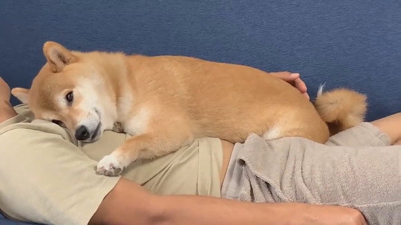 ねんねからのお目覚めはなちゃん