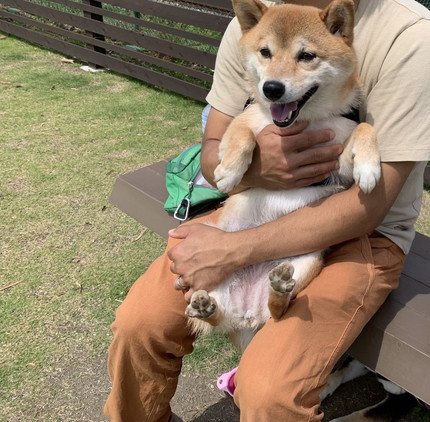 ドッグランでのはなちゃん