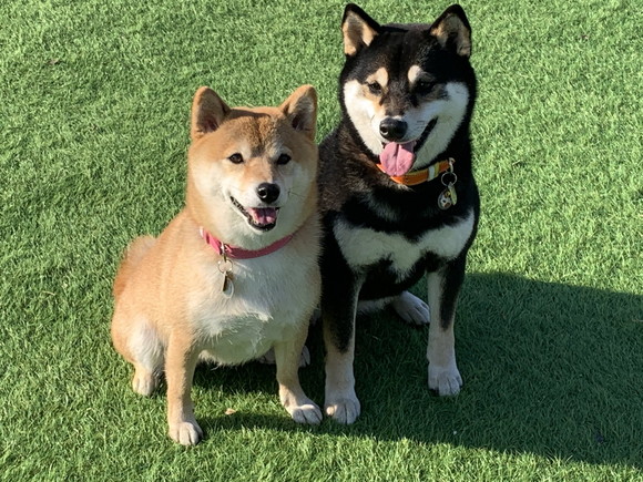 はなちゃんとゆずちゃん