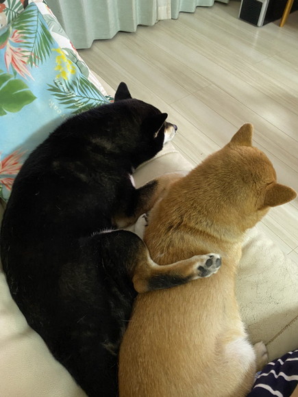 はなちゃんとゆずちゃん