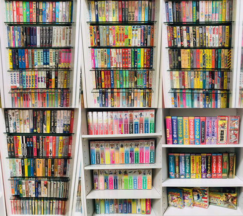 ファミコン　カセット　53本 ファミコンカセット全1,053本を箱付きでコンプリートしたマニア