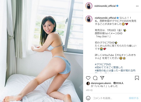 西野未姫 グラビア DVD