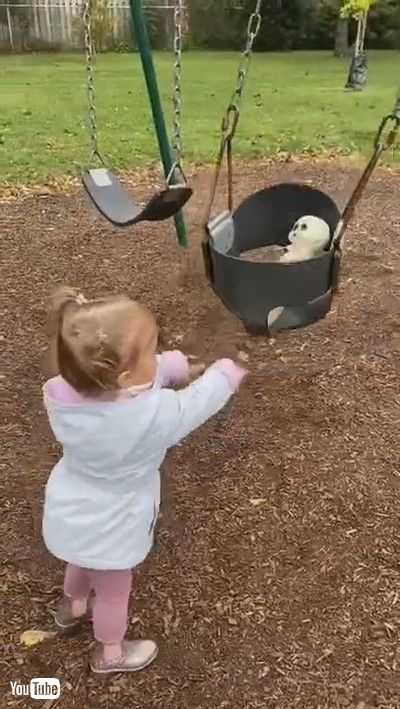 「Little Girl Loves Her Halloween Baby Doll || ViralHog」