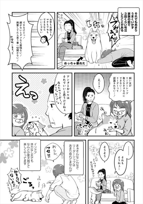 猫とハスキーとハマジ