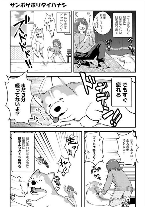 猫とハスキーとハマジ