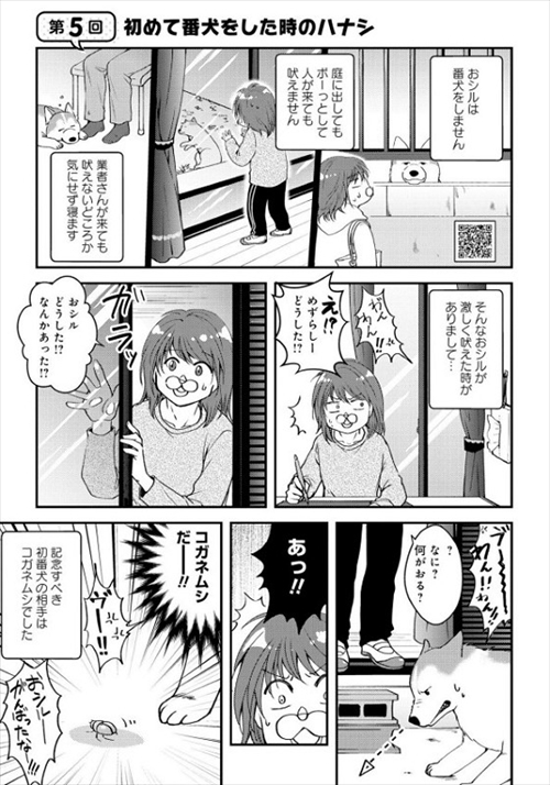 猫とハスキーとハマジ