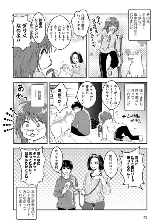 猫とハスキーとハマジ