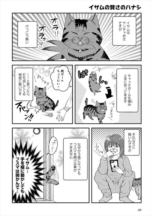 猫とハスキーとハマジ
