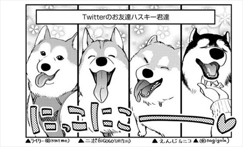 猫とハスキーとハマジ