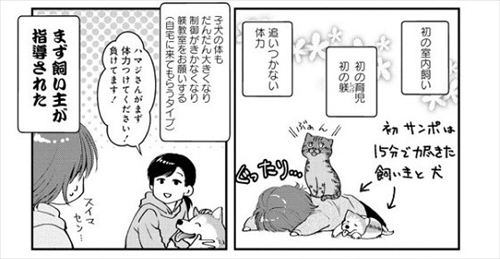 猫とハスキーとハマジ