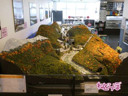 えちごトキめき鉄道 観光急行