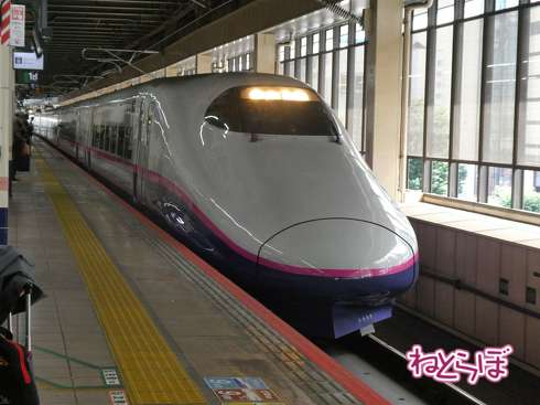 えちごトキめき鉄道 観光急行