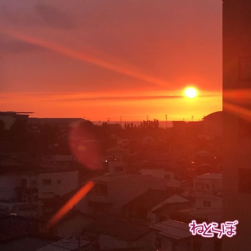 えちごトキめき鉄道 観光急行