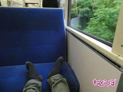 えちごトキめき鉄道 観光急行