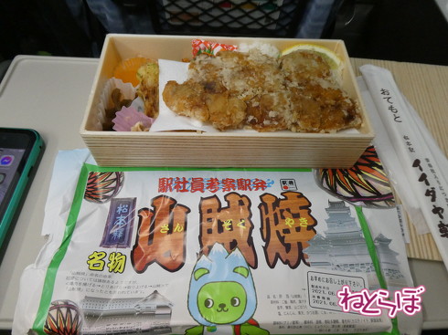 えちごトキめき鉄道 観光急行