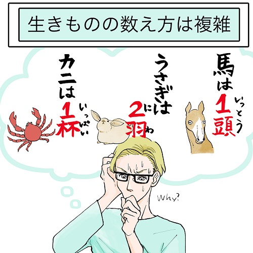 生き物の数え方