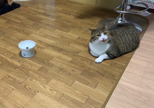 雷に驚いたすずめちゃんとうなぎちゃん
