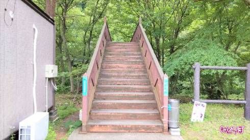 受付の隣には跨線橋が