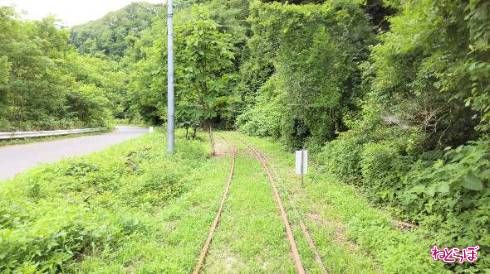 道路の脇を通ったと思ったら……