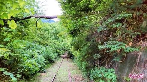 急に山中の景色に