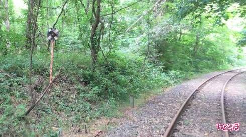 こちらは「踏切動作反応灯」