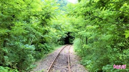 草木のアーチをくぐります