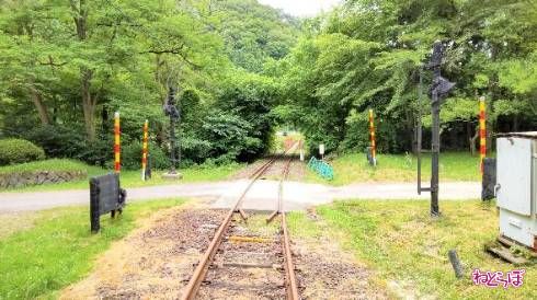 ふたつめの踏切。警報機は黒い布で覆われている