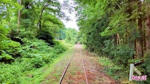 両側から緑が近づいて……