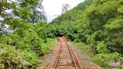 急に視界が広がり、橋が見えます