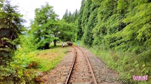 森の広場といった趣の終点