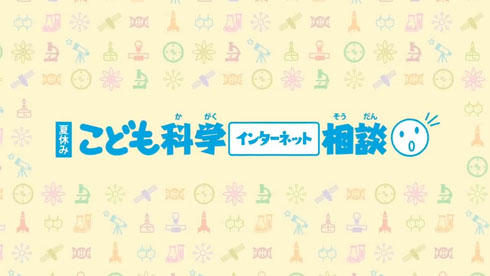 インターネット相談