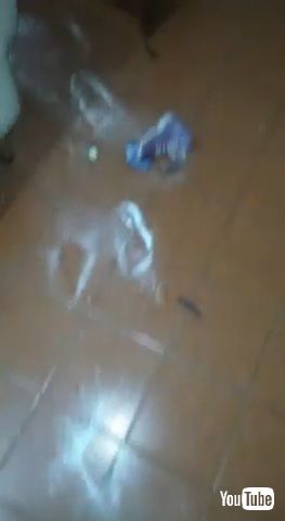 「Kids Spill Flour All Over the Kitchen Floor - 1203288」