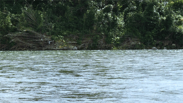 【PR】丸亀製麺　テイクアウト　丸亀こどもうどん弁当　タイアップ