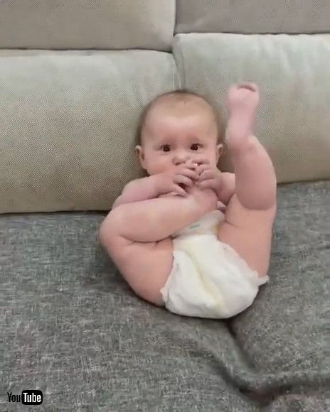 「Baby Sucks Their Toes Imitating Dog Who Was Licking Their Paw - 1197722」
