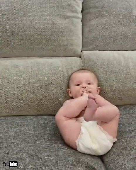 「Baby Sucks Their Toes Imitating Dog Who Was Licking Their Paw - 1197722」