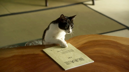 津田健次郎 極主夫道 実写 アニメ Netflix おまけシリーズ