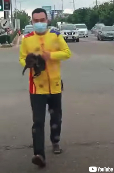 今にも車にひかれそうな猫が救出される