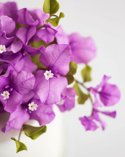 本物にしか見えないシュガーフラワー