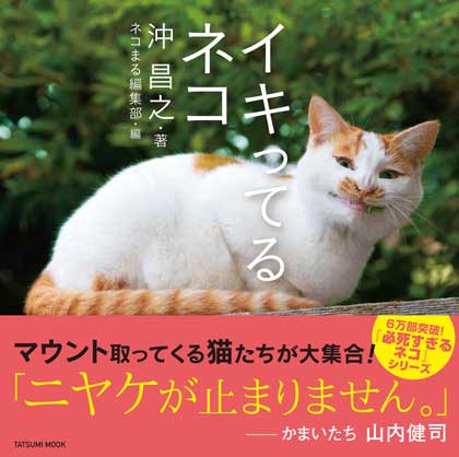 イキってるネコ 猫 写真 沖昌之