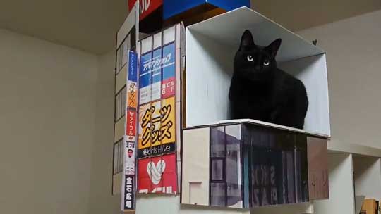 新宿 巨大ネコ 再現 飛び出して見える ミニチュア 黒猫 本物
