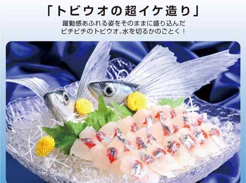 いわさき 食品サンプル オリンピック 競技 イメージ 料理